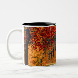 Tasse 2 Couleurs automne dans la forêt