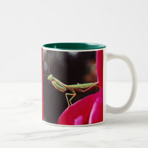 Tasse 2 Couleurs Avons-nous été présentés ?