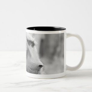 Tasse 2 Couleurs Babouin africain