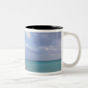 Tasse 2 Couleurs BAHAMAS, île de Grand Bahama, côté est :