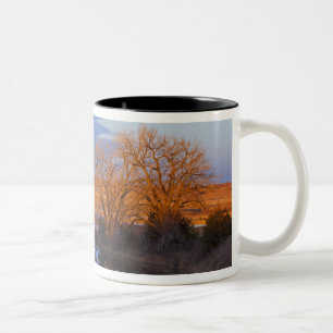 Tasse 2 Couleurs Baigné dans la lumière du coucher de soleil, la ri