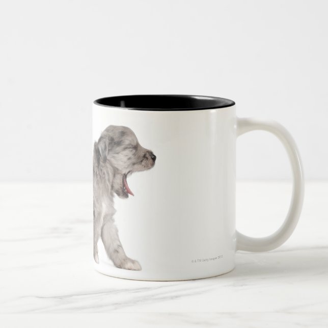 Tasse 2 Couleurs Baîllement pyrénéen de chiot de berger (4 (Droit)