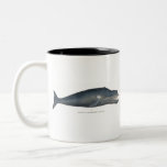 Tasse 2 Couleurs Baleine boréale<br><div class="desc">Belle illustration Vintage d'une baleine boréale</div>