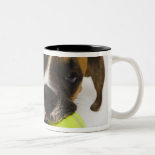 Tasse 2 Couleurs Balle de tennis acérée de chien