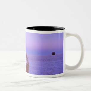 Tasse 2 Couleurs Balles de paille en hiver près de Cartwright Nord