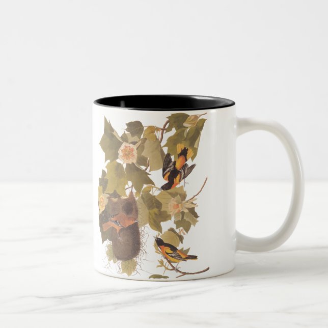 Tasse 2 Couleurs Baltimore Oiseaux orientaux nichant dans un peupli (Droit)