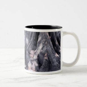 Tasse 2 Couleurs Banyan Tree