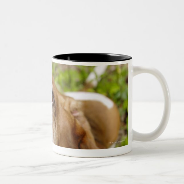 Tasse 2 Couleurs Basset Hound 2 (Droit)
