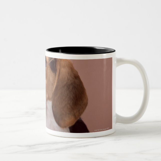Tasse 2 Couleurs Beagle (Droit)