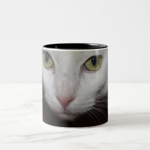 Tasse 2 Couleurs Beau chat blanc