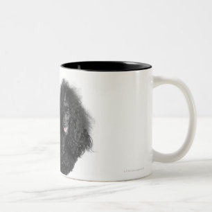 Tasse 2 Couleurs Beau, équilibré, noir, corps complet de caniche
