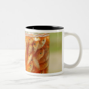 Tasse 2 Couleurs Beaucoup poisson rouge qui sont dans le récipient