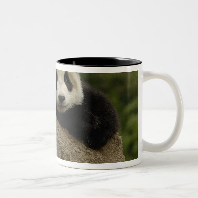 Tasse 2 Couleurs Bébé panda géant (Ailuropoda melanoleuca) (Droit)