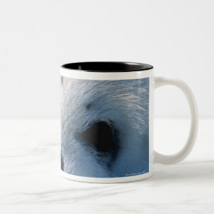 Tasse 2 Couleurs Bébé phoque d'harpe 2