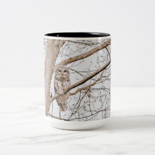 Tasse 2 Couleurs Belle Chouette rouge Audubon