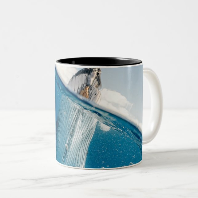 Tasse 2 Couleurs Belle Grosse Baleine (Devant droit)