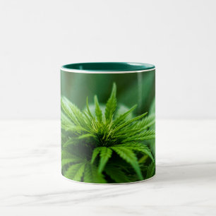 Tasse 2 Couleurs Belle herbe
