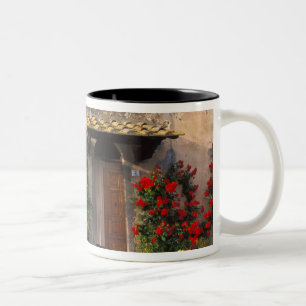 Tasse 2 Couleurs Belle vieille maison avec des fleurs à San Gimigna