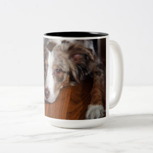 Tasse 2 Couleurs berger australien merle rouge pondre plat