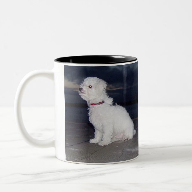 Tasse 2 Couleurs Bichons au crépuscule (Gauche)