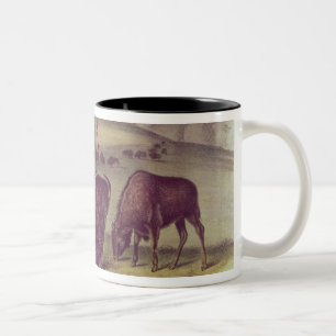 Tasse 2 Couleurs Bison américain ou Buffalo
