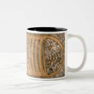 Tasse 2 Couleurs Blonde de Pleciodekus