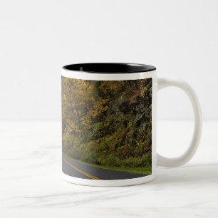 Tasse 2 Couleurs Blue Ridge Parkway courbant dans les couleurs de l