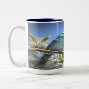 Tasse 2 Couleurs Bluebird de montagne