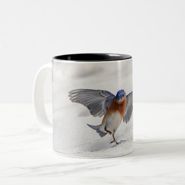 Tasse 2 Couleurs Bluebird oriental dansant dans la neige (Devant gauche)