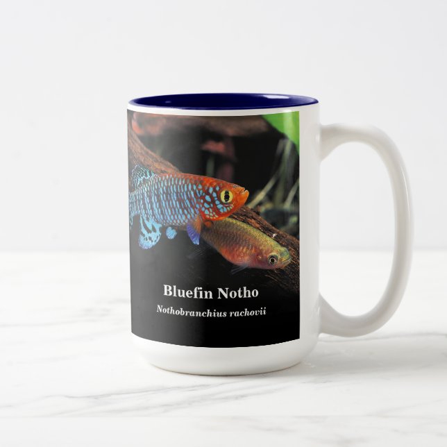 Tasse 2 Couleurs Bluefin notho , Nothobranchius rachovii (Droit)