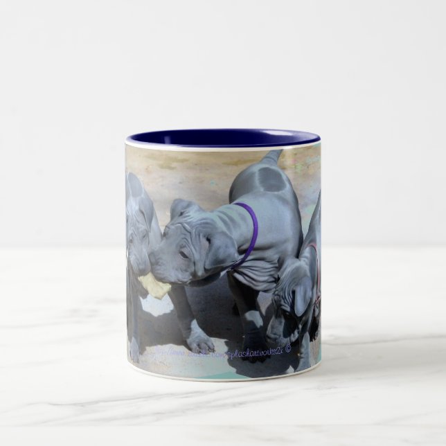 Tasse 2 Couleurs "BlueThai Ridgeback-Phu Quoc dog" (Centre)