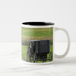 Tasse 2 Couleurs Boguet amish sur la ruelle de ferme, Ohio du