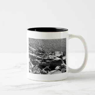 Tasse 2 Couleurs Bois de dérive