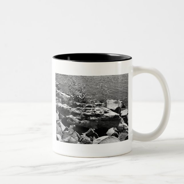 Tasse 2 Couleurs Bois de dérive (Droit)