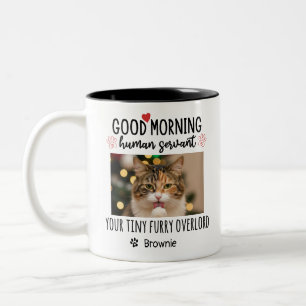 Tasse 2 Couleurs Bonjour Chat Serviteur Humain Personnalisé Drôle d