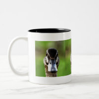 Bonjour Ducky Quirky Duck Portrait