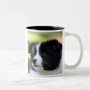 Tasse 2 Couleurs Bordure Collie