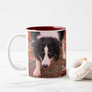 Tasse 2 Couleurs Bordure Collie Stare Personnalisé