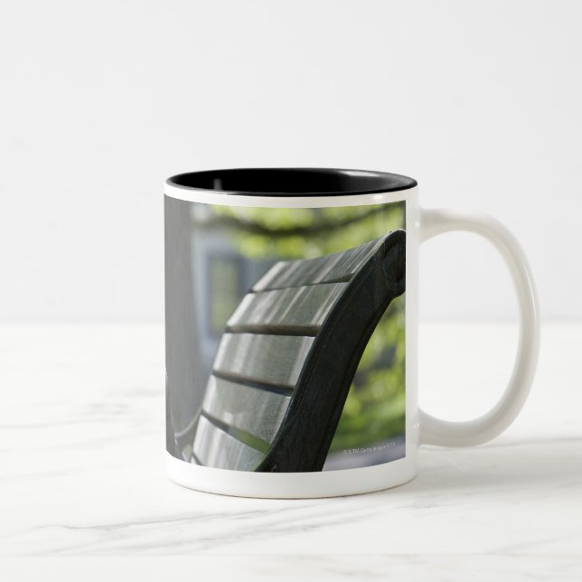 Tasse 2 Couleurs Boston Terrier (Droit)