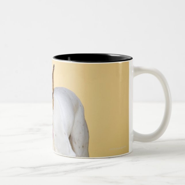 Tasse 2 Couleurs Bottes de port de chien (Droit)