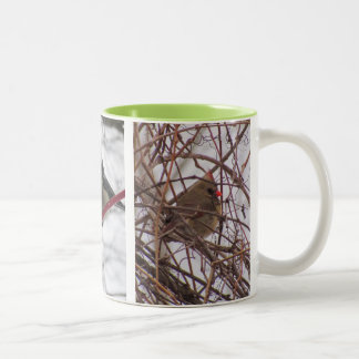 Tasse 2 Couleurs Boug d'oiseaux d'hiver