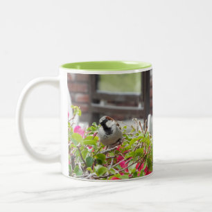 Tasse 2 Couleurs Boug d'oiseaux doux