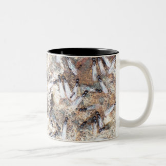 Tasse 2 Couleurs Bouge
