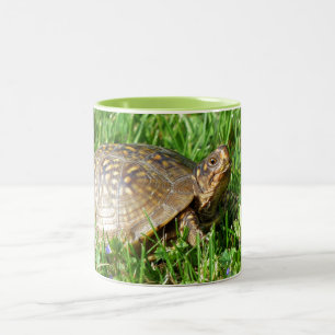 Tasse 2 Couleurs Box Turtle