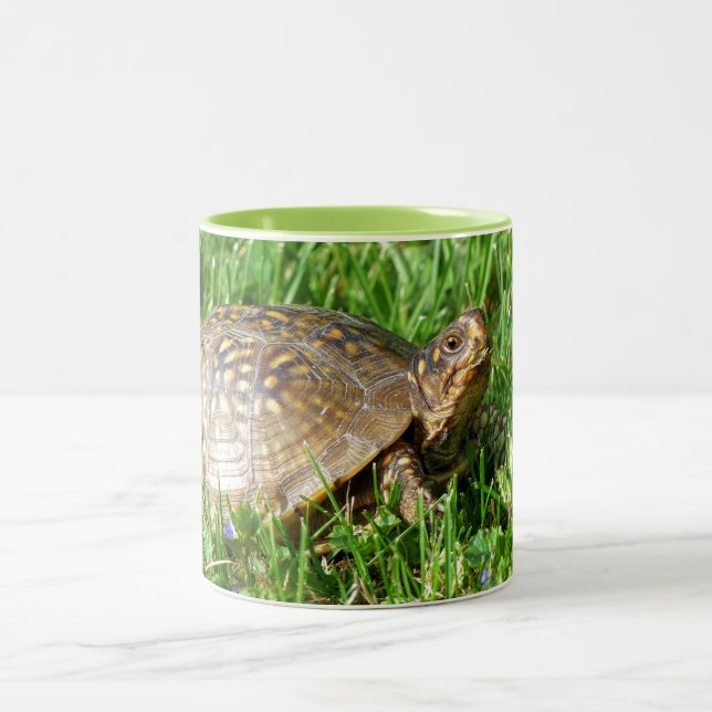 Tasse 2 Couleurs Box Turtle (Centre)