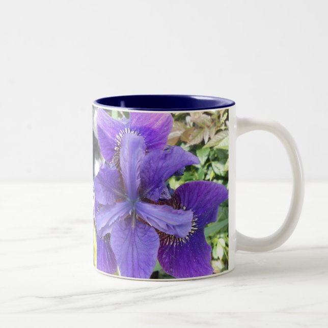 Tasse 2 Couleurs Brandeis (Droit)