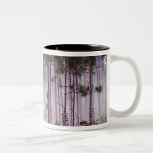 Tasse 2 Couleurs Brume parmi les pins au lever du soleil, Everglade