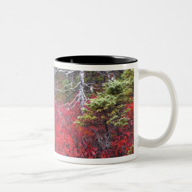 Tasse 2 Couleurs Buissons de myrtilles et pins (Droit)
