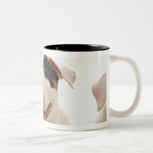 Tasse 2 Couleurs Bulls-terrier
