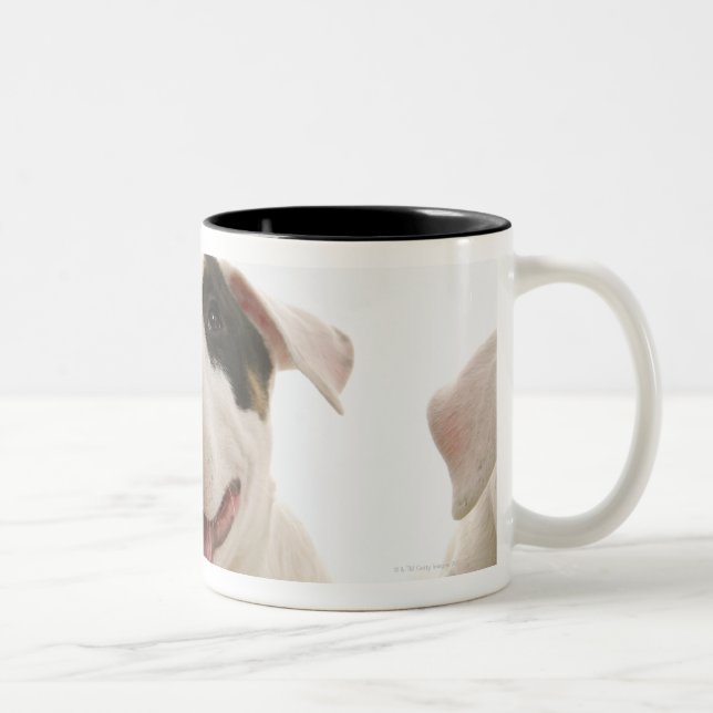 Tasse 2 Couleurs Bulls-terrier (Droit)